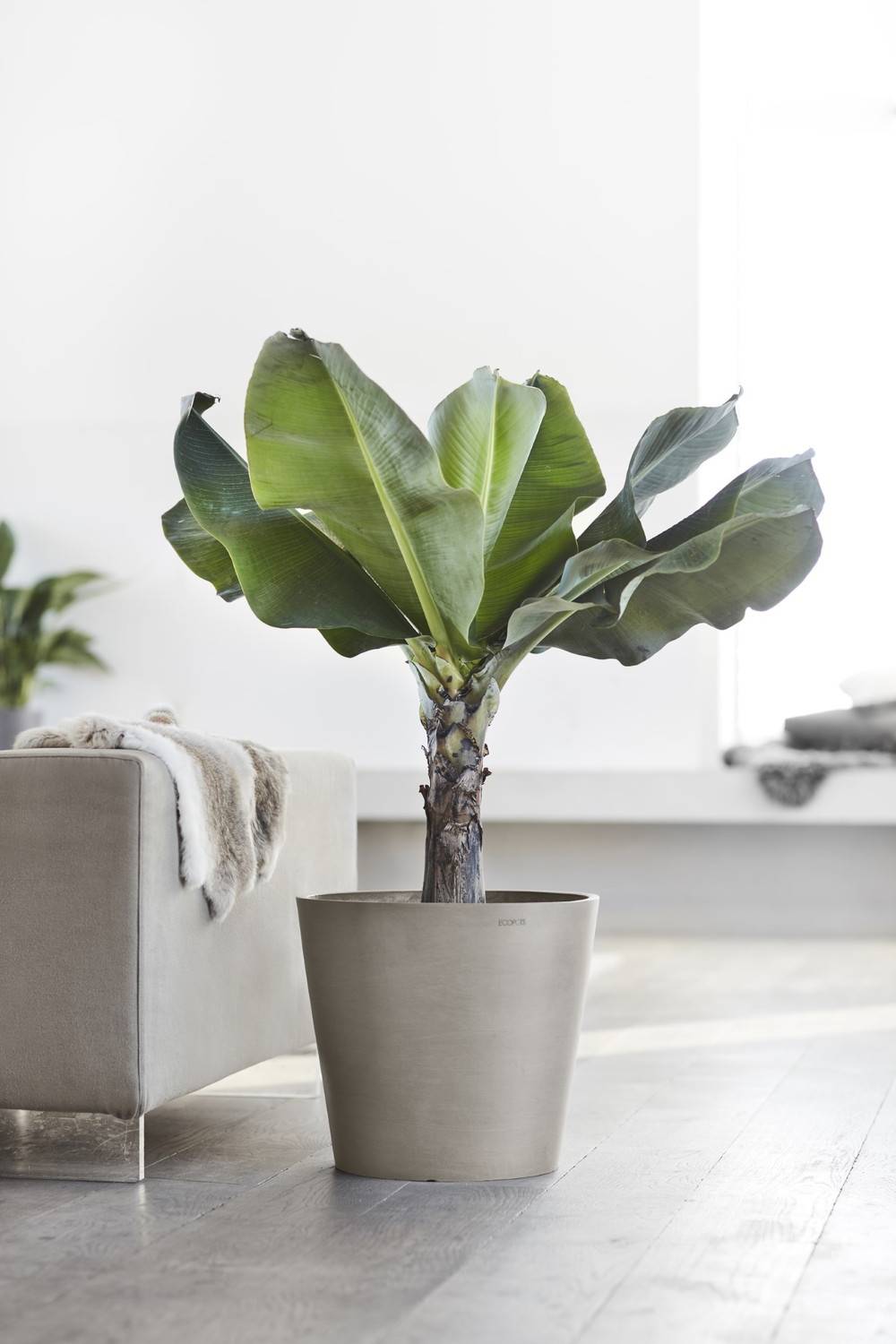 Ecopots - Pot Rond Amsterdam 40 Taupe - Ø 40 x H. 35 cm - 28 L ECOPOTS - Imagen 5