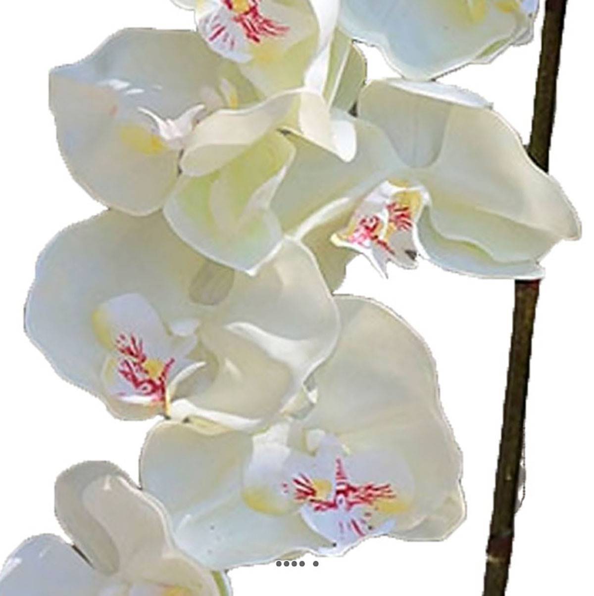 Artificielles - Superbe tige d'orchidée artificielle toucher réel 10 fleurons 110 cm Crème - couleur: Crème - Imagen 3