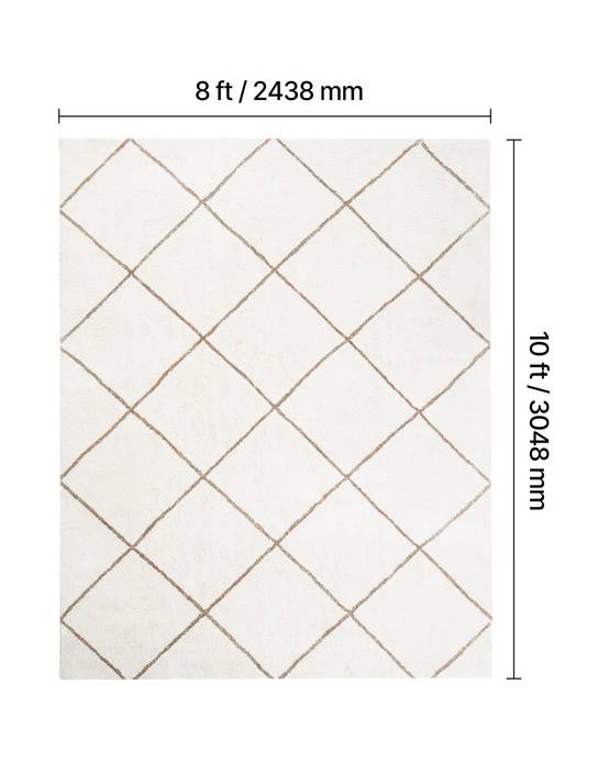 VEVOR Tapis Salon Chambre Poil Long Peluche Envers Antidérapant 2,44x3,05m Beige - Image 2