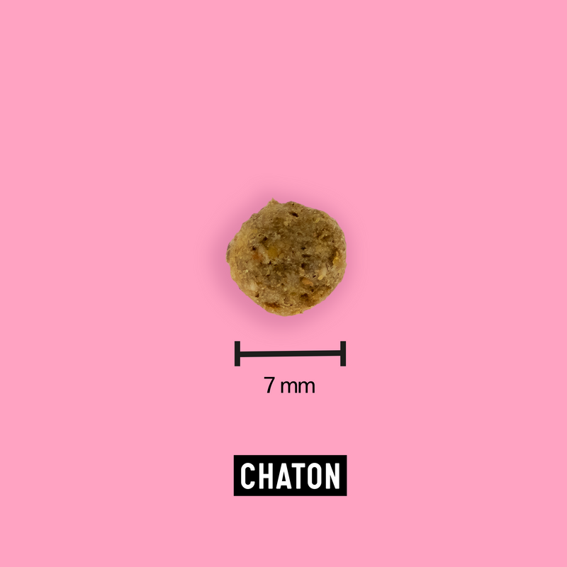Croquettes aux insectes pour chaton 7,5kg - Tomojo - Imagen 2