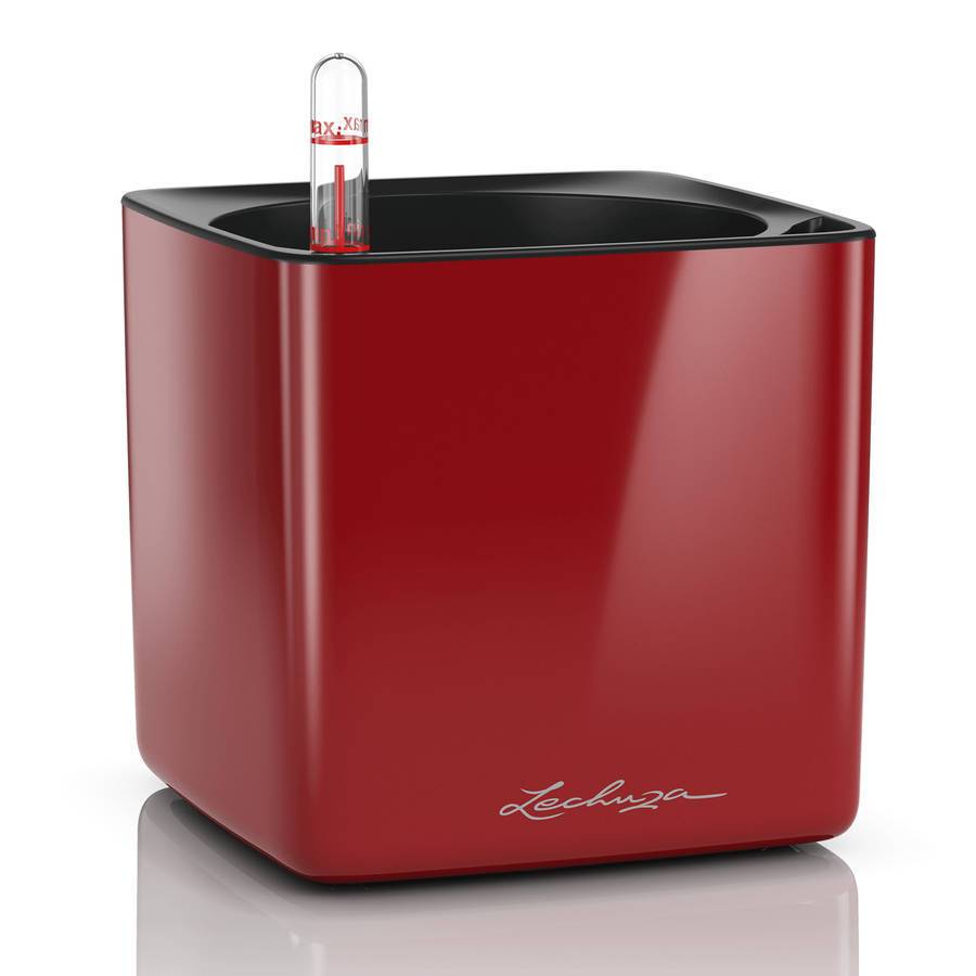 Lechuza - Cube Glossy 16 - 16x16x16 cm - Kit Complet, rouge scarlet ultra brillant Lechuza