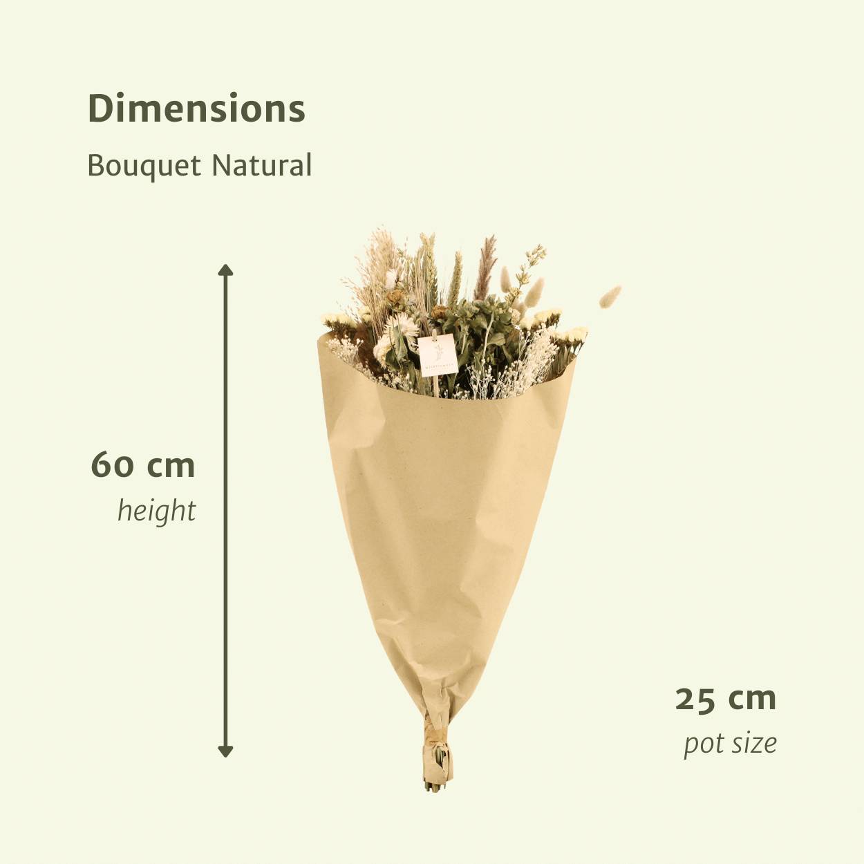 PANGIVO - Bouquet de fleurs séchées naturel beige 25 x 25 x 60 cm - PANGIVO - Image 2