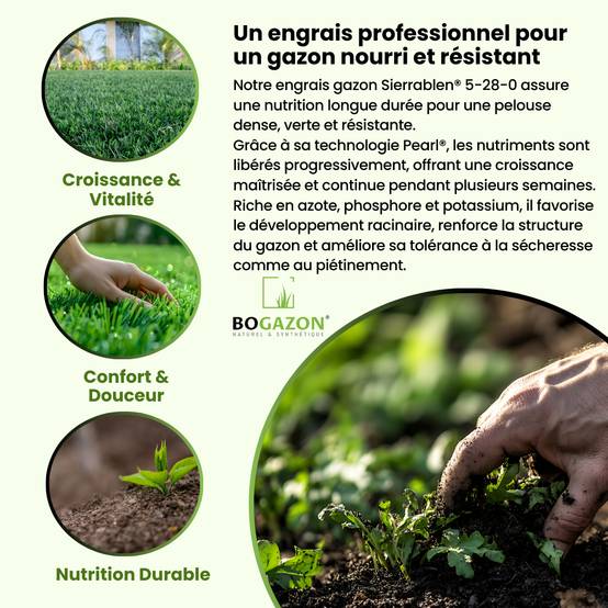Engrais Gazon Sierrablen® Plus 5-28-0 5KG Bogazon® | Nutrition Longue Durée pour Pelouses| Libération Contrôlée & Croissance Maîtrisée - Image 3