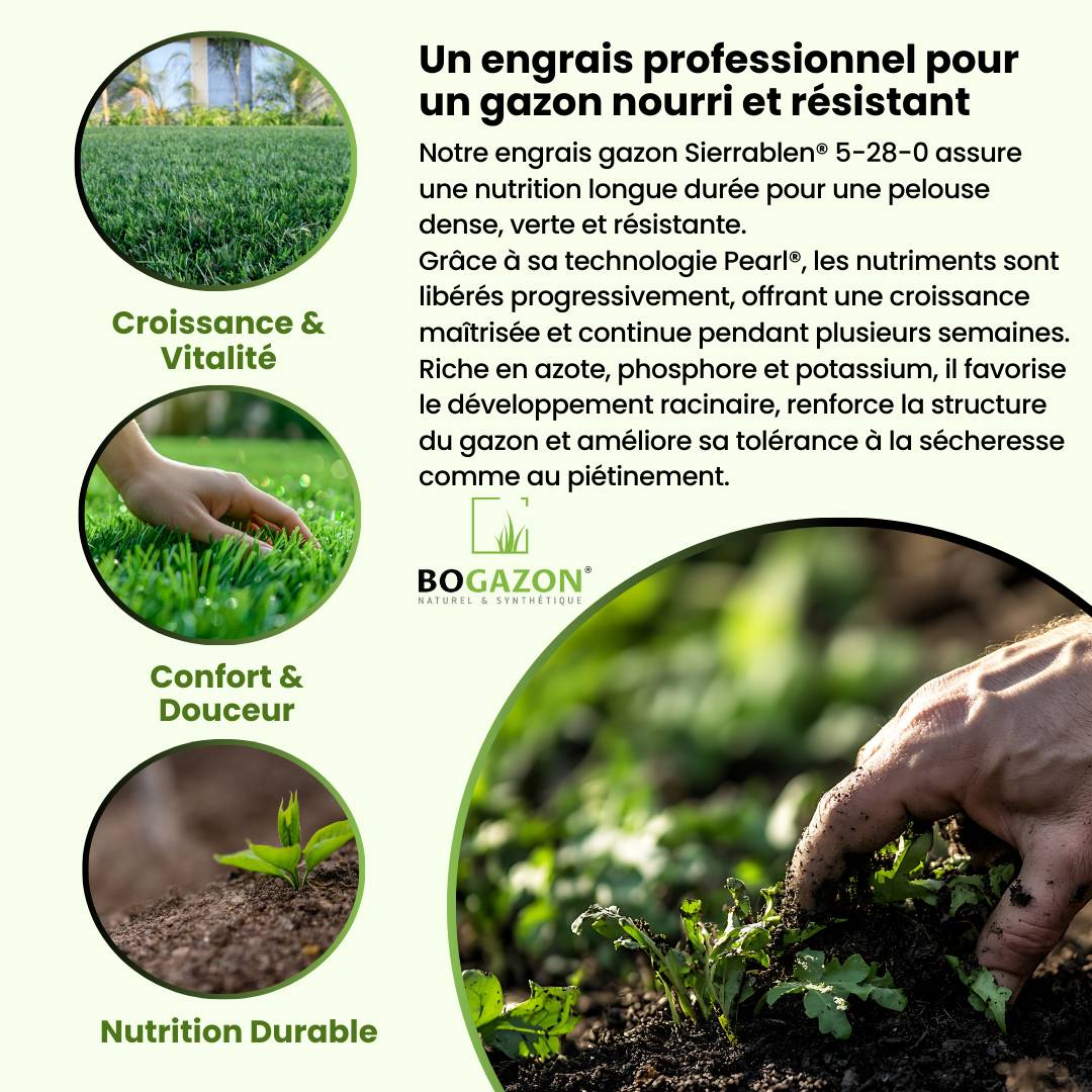 Engrais Gazon Sierrablen® Plus 5-28-0 5KG Bogazon® | Nutrition Longue Durée pour Pelouses| Libération Contrôlée & Croissance Maîtrisée - Image 3