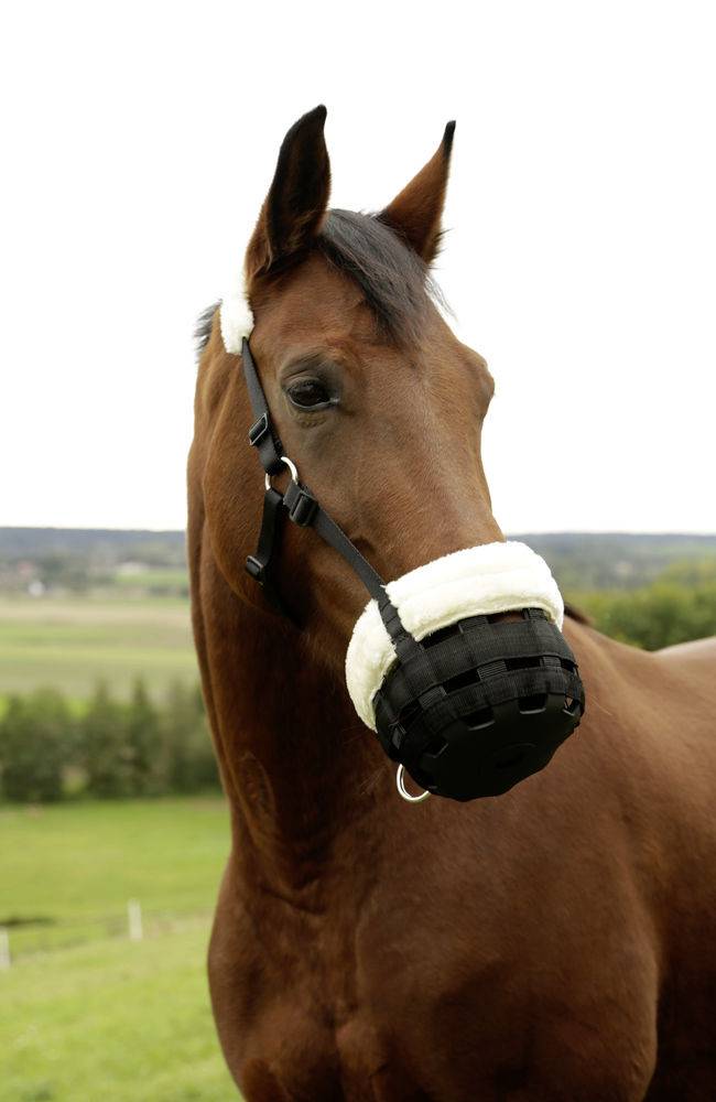 Muselière panier confortable - Pour poney Shetland Albert Kerbl GmbH - Imagen 1
