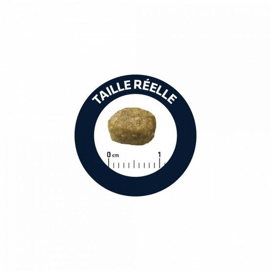 CROQUETTES CHAT ADULT STERILIZED HAIRBALL - ADVANCE 1,5 kg - Image 2