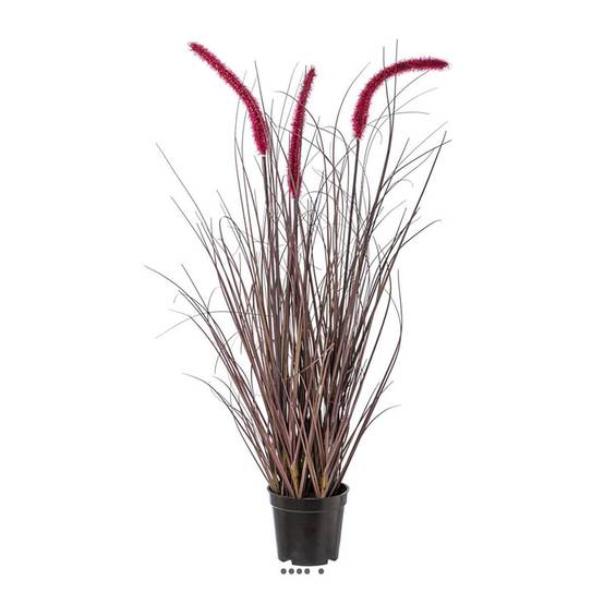 Herbe graminée en pot avec 3 chatons H 73 cm aubergine - Image 2