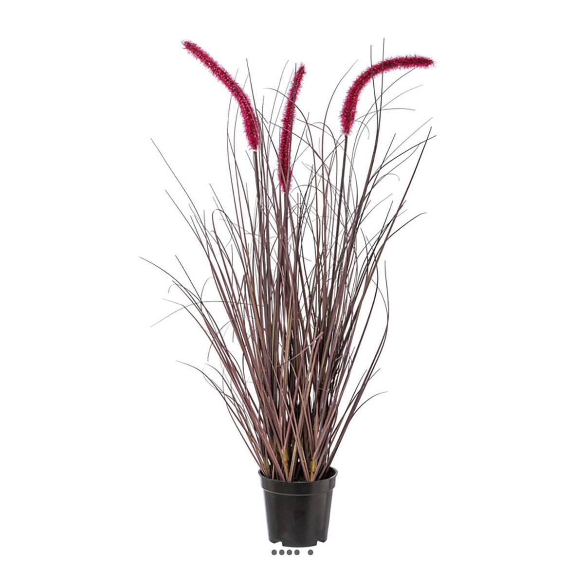Herbe graminée en pot avec 3 chatons H 73 cm aubergine - Image 2