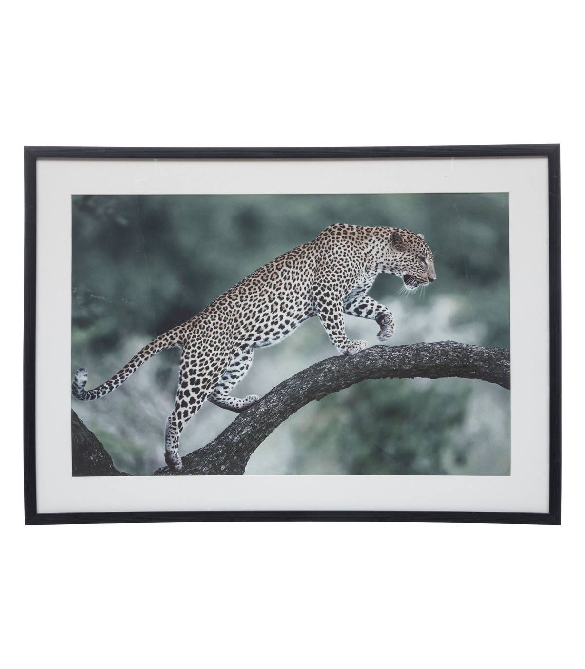 Tableau Toile murale imprimée et encadrée Majestueux Félin 70 x 50 cm - Imagen 1