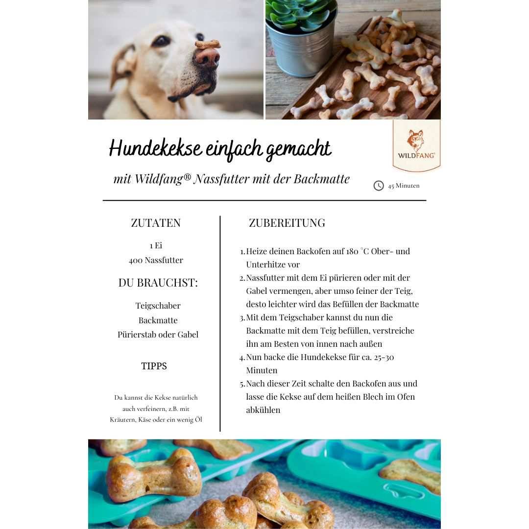 Wildfang - Wildfang — Coffret « Magic Box » – pour les grands chiens de plus de 25 kg - Image 7