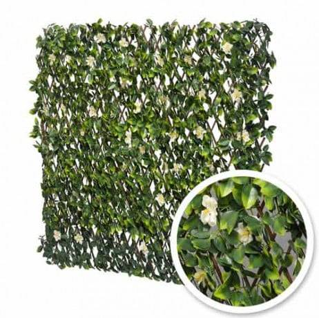 James Grass - France Green - Treillis extensible feuilles de jasmin fleuri, Long 24 m, Hauteur 1 m - Imagen 1