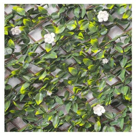 James Grass - France Green - Treillis extensible feuilles de jasmin fleuri, Long 24 m, Hauteur 1 m - Imagen 6