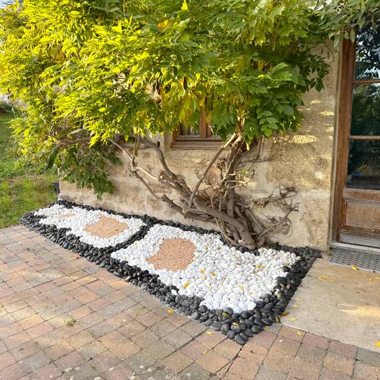 Rouleau géotextile 10 mètres 150g/m2 - TERRE JARDIN Unité - Image 5