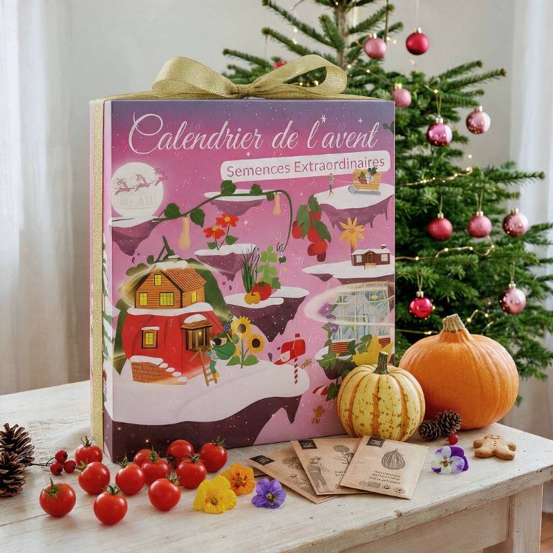 Calendrier de l’Avent – 24 variétés BIO à semer 100% comestibles