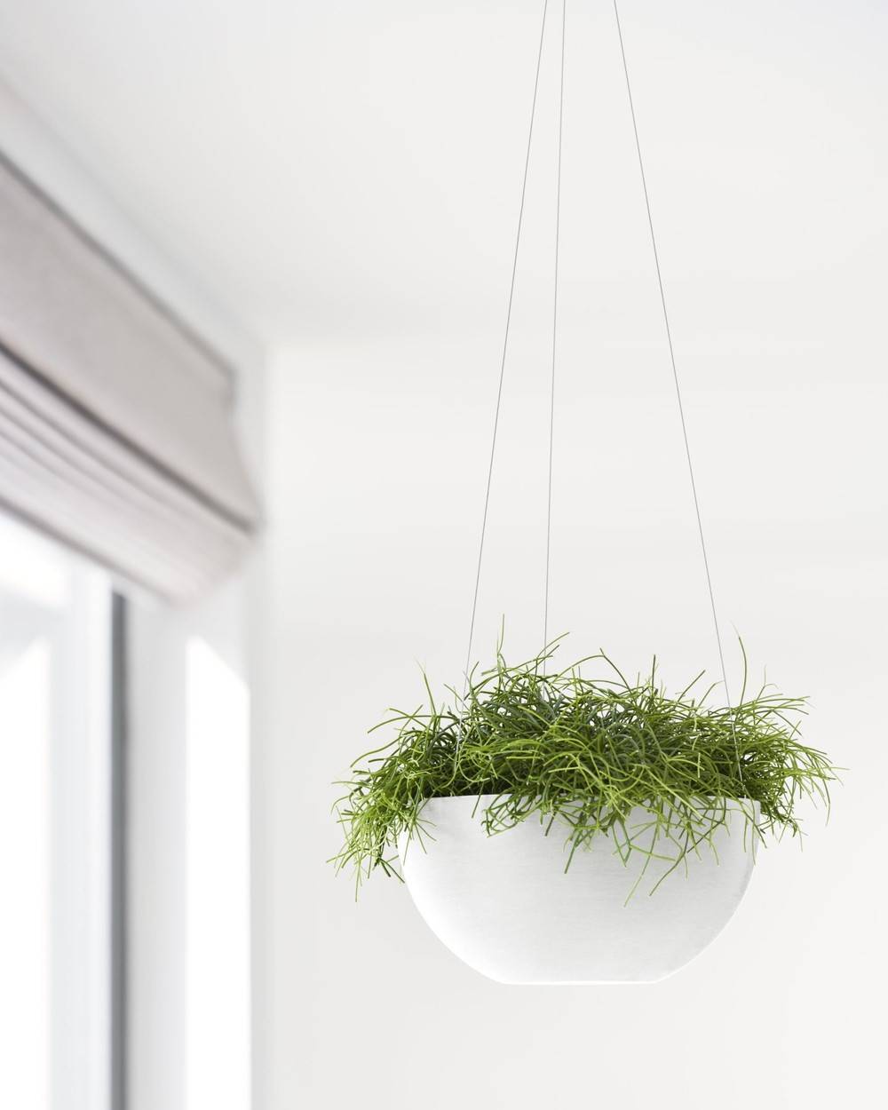 Ecopots - Pot supsendu Brussels 27 Blanc Pur - Ø 26,5 x H. 13 cm - 4,2 L ECOPOTS - Imagen 5