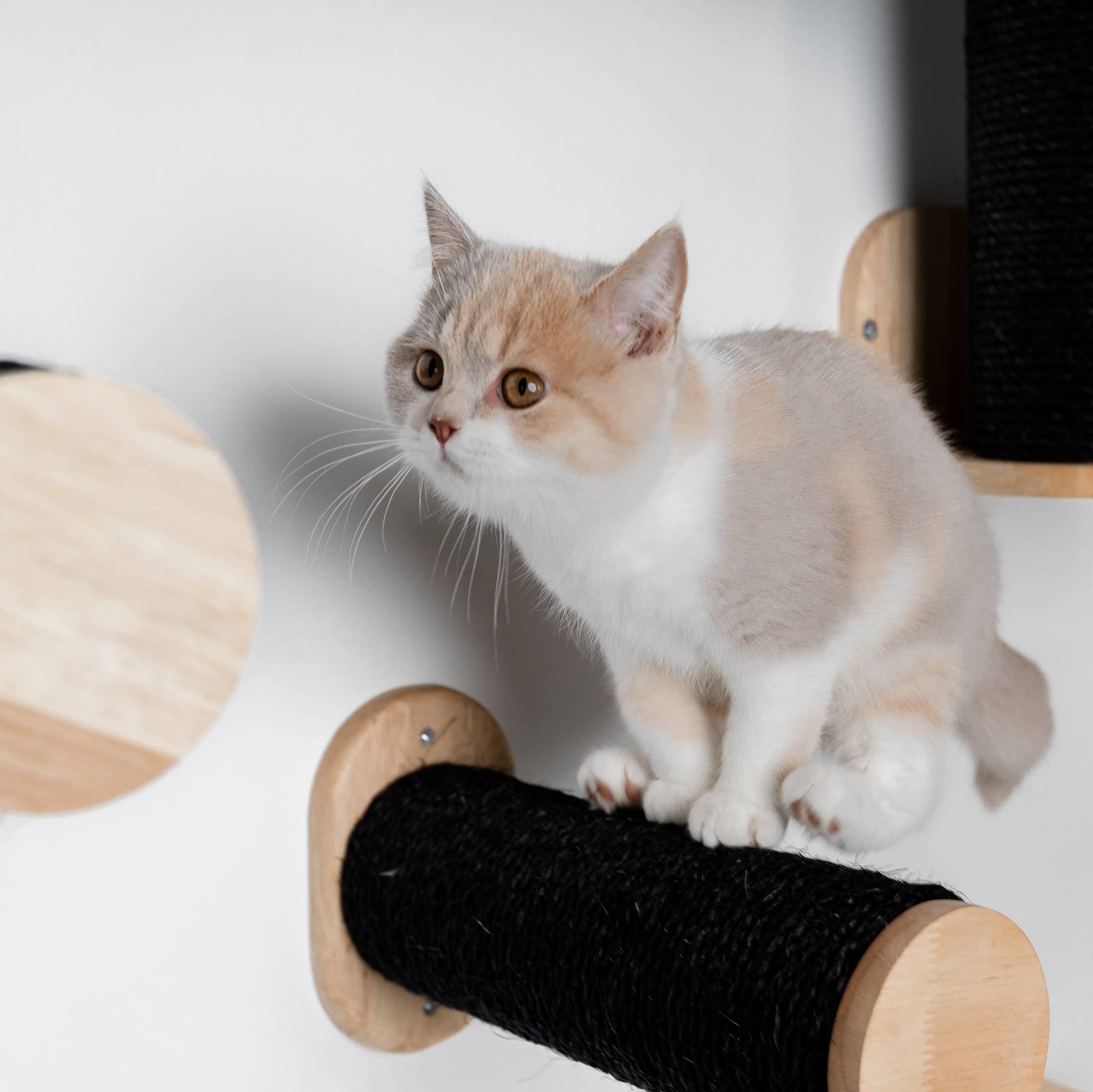 Rhr Concepts Bv - Mur d’escalade pour chat - Ensemble de poteaux muraux en sisal (Blackline) - RHR Concepts BV - Imagen 4