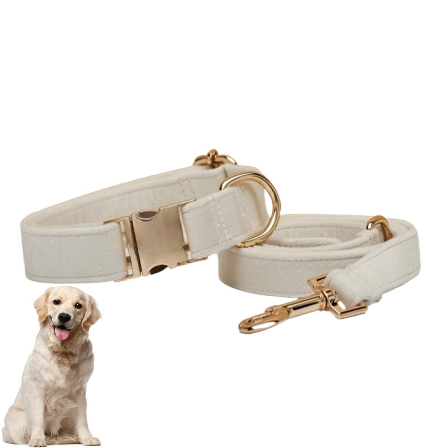 Collier et Laisse Réglable pour Chien L DtopbuyAge - Image 1