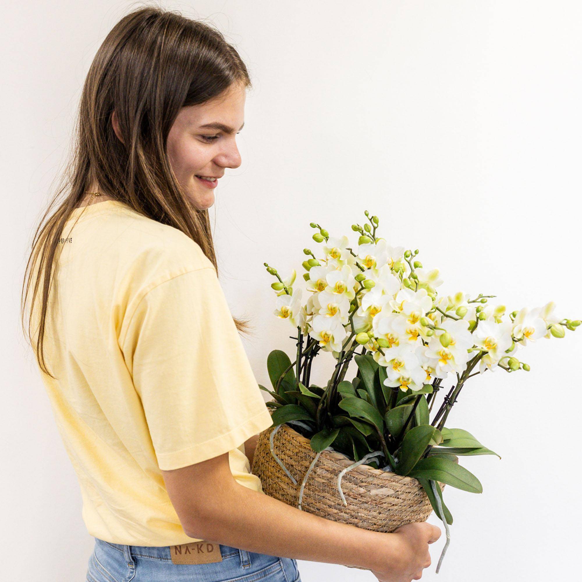 La Green Touch - Set de 3 orchidées blanches et 3 Rhipsalis dans un panier en coton avec réservoir d'eau- La Green Touch - Imagen 4