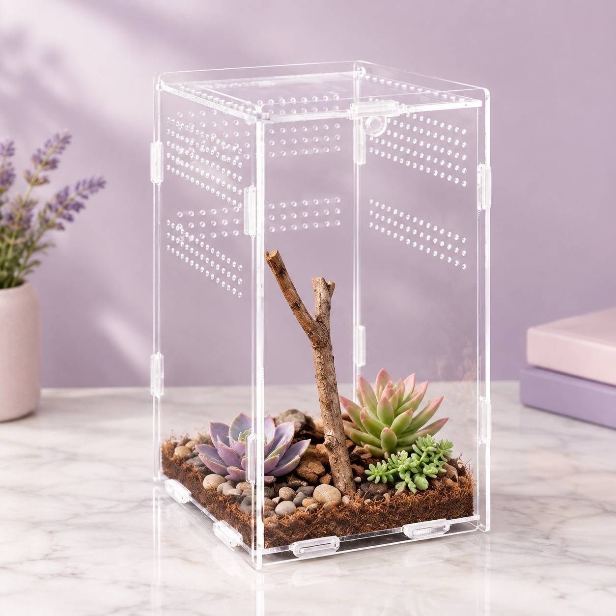 Terrarium Acrylique Transparent 360° Ventilé Pour Petits Reptiles Escargots Scorpions - Image 7