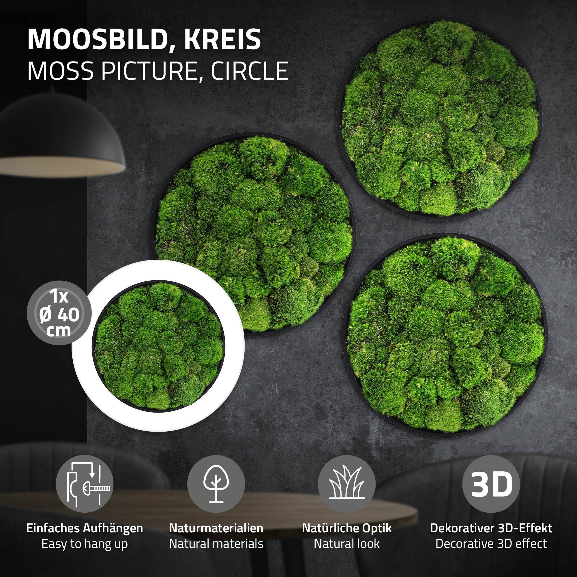 Ecd-Germany - Tableau en mousse boule stabilisée, ronde, Ø 40 cm, vert, décoration murale végétale d'intérieur, cadre en MDF, sans arrosage ni entretien, effet 3D - Image 2