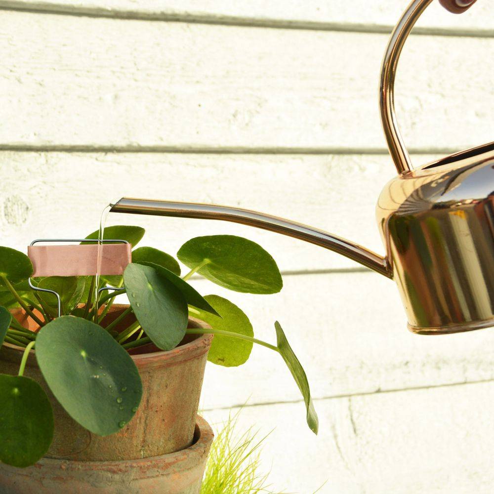 Esschert Design - Etiquettes à plantes en cuivre (Lot de 6) - Imagen 2