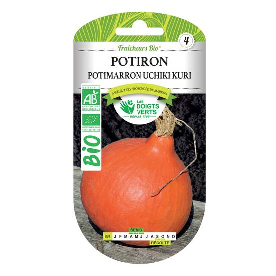 Graines potiron potimarron Uchiki Kuri BIO Les Doigts Verts - Image 1