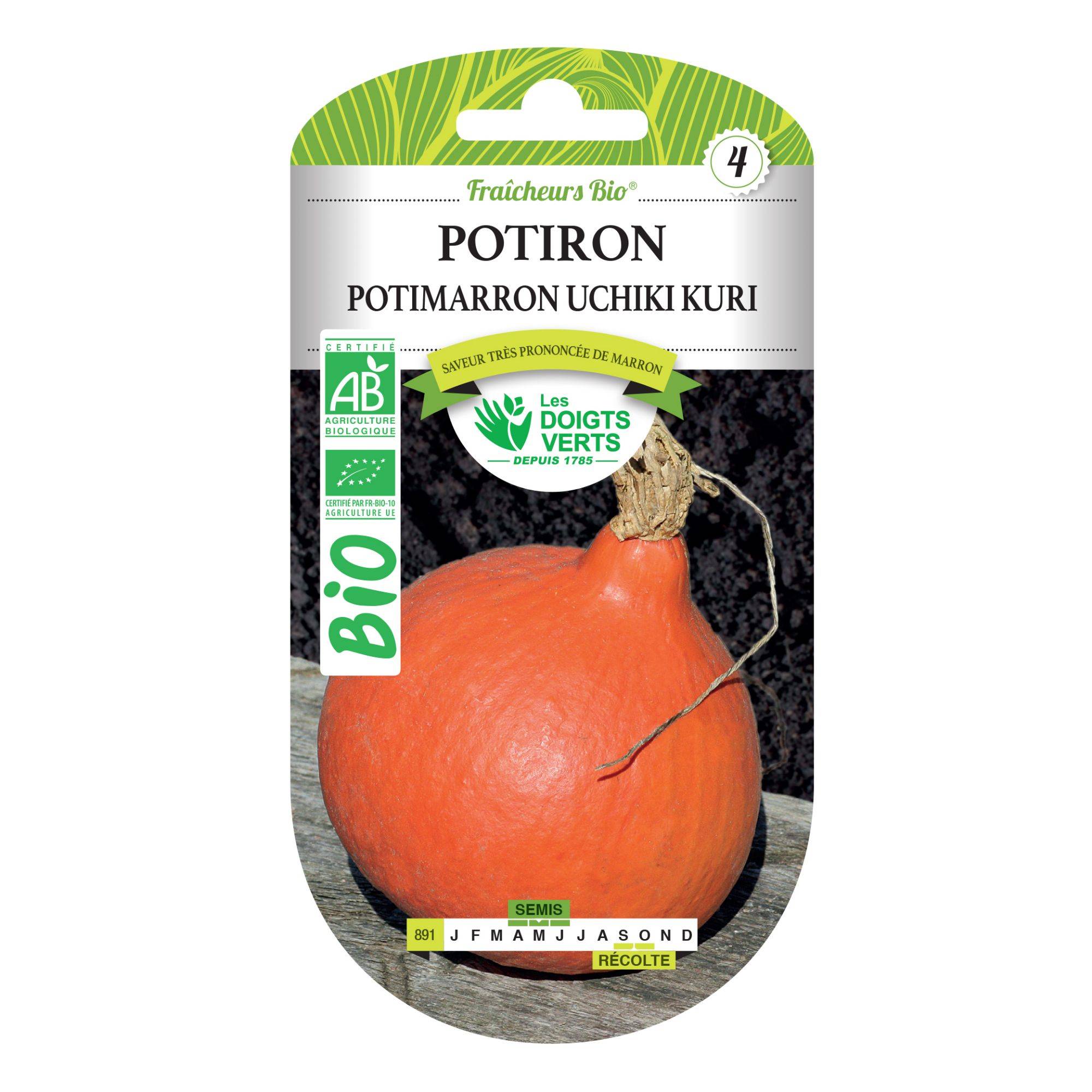 Graines potiron potimarron Uchiki Kuri BIO Les Doigts Verts - Image 1