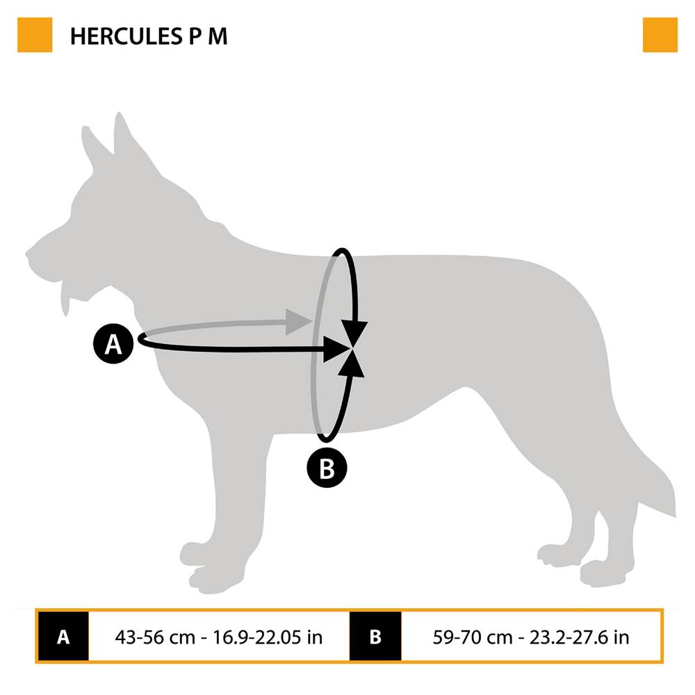 Ferplast - Harnais pour Chiens HERCULES MEDIUM, Rembourré, Résistant, Anti-griffures, Visible dans l'Obscurité, avec Poignée - Imagen 2