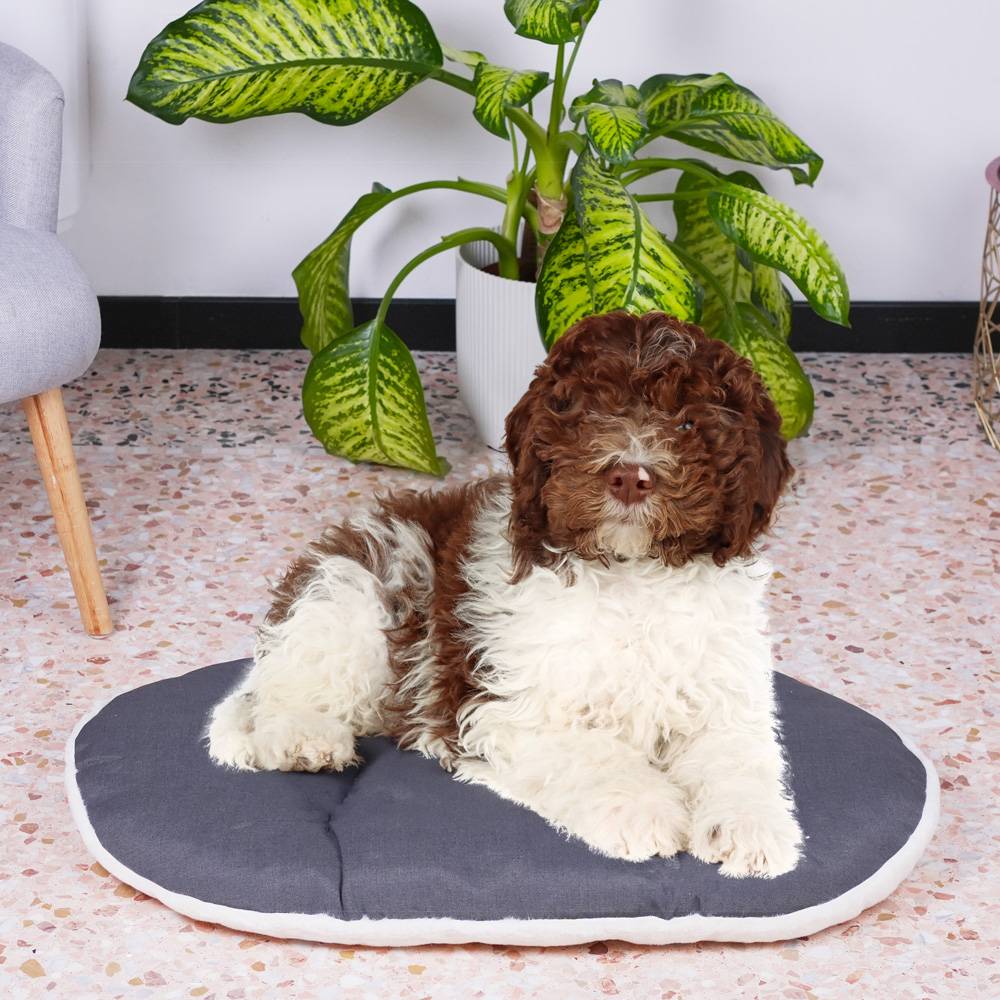 Ferplast - FERPLAST Panier Chien Chat - Coussin pour Chien Chat - Lavable en Machine - Tapis Chien Chat pour Niches et Voitures - Lit pour Chien Chat - Relax, - Imagen 4