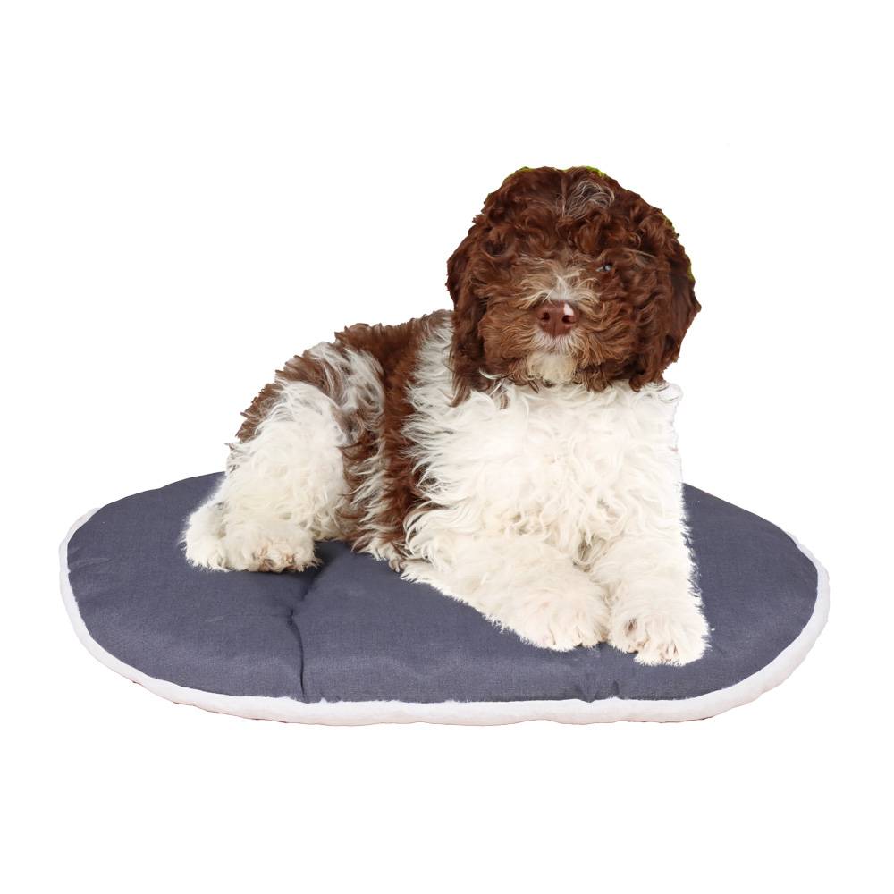 Ferplast - FERPLAST Panier Chien Chat - Coussin pour Chien Chat - Lavable en Machine - Tapis Chien Chat pour Niches et Voitures - Lit pour Chien Chat  - Relax, - Imagen 6