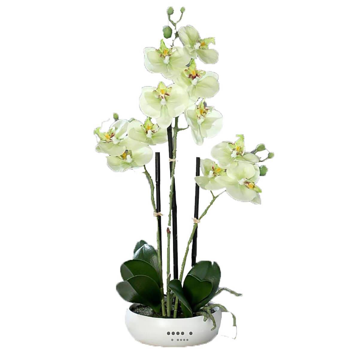 Artificielles - Orchidée factice 3 hampes coupe céramique H45cm touché réel Crème vert - couleur: Crème vert - Imagen 1