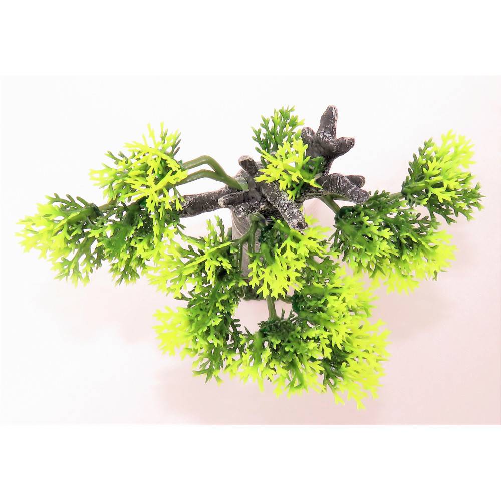 Zolux - zolux - Décoration Africa Baobab taille S. Aquarium. - Imagen 5