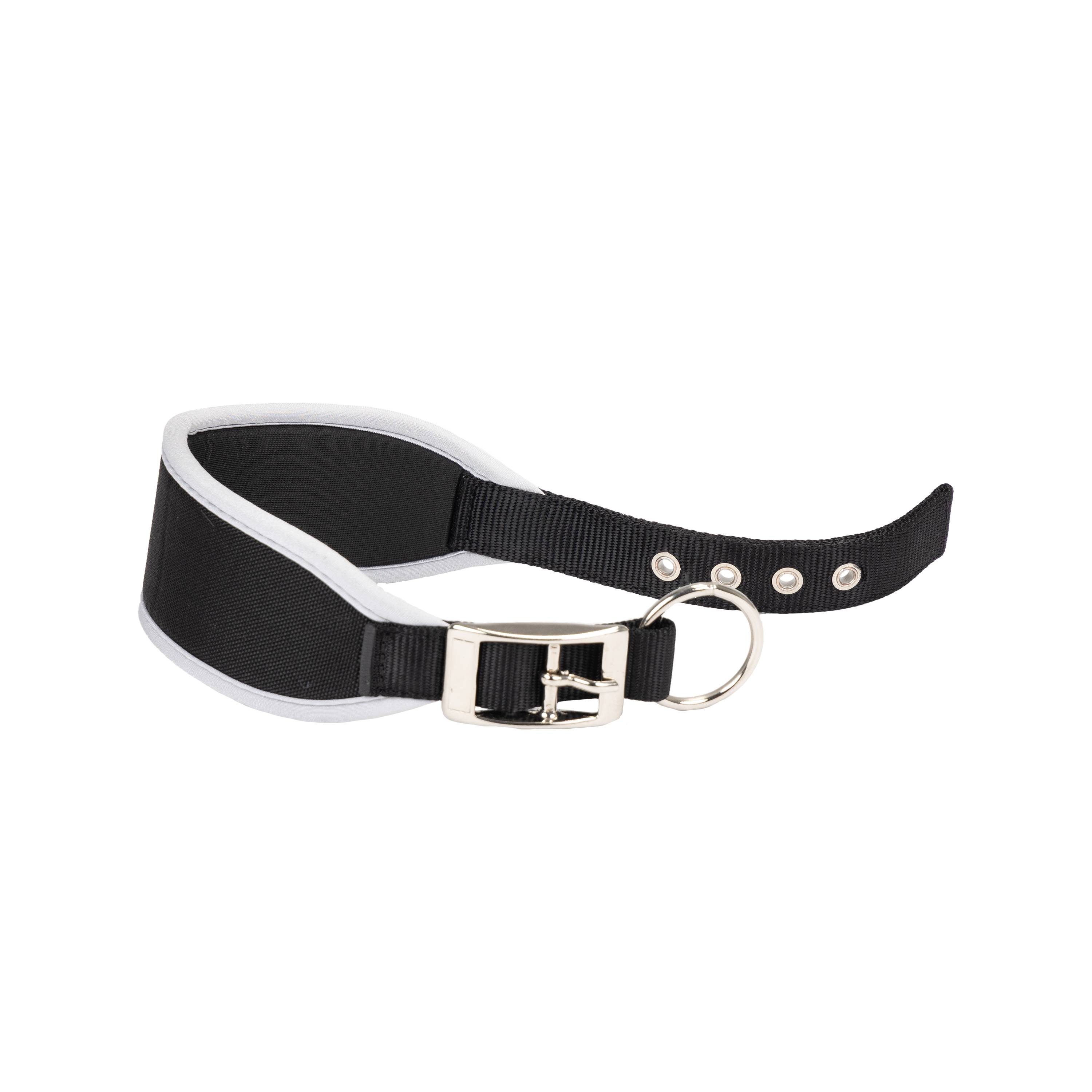 Ferplast - Ferplast Collier Chien ERGOCOMFORT C15/33, Collier pour lévrier, Rembourrage doux, Bleu - Imagen 1