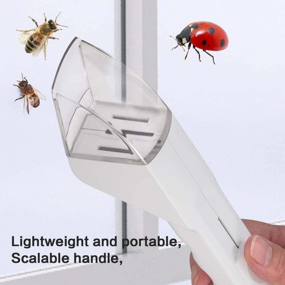Qqmora Attrape-araignées Attrape-araignée Portable, outil de capture d Qqmora Attrape-araignées Attrape-araignée Portable, outil de capture d