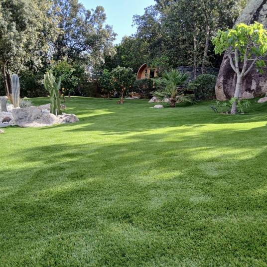 Decoweb - Gazon synthétique Nature Up, 55 mm, 2m x 10m - Decoweb - Imagen 3