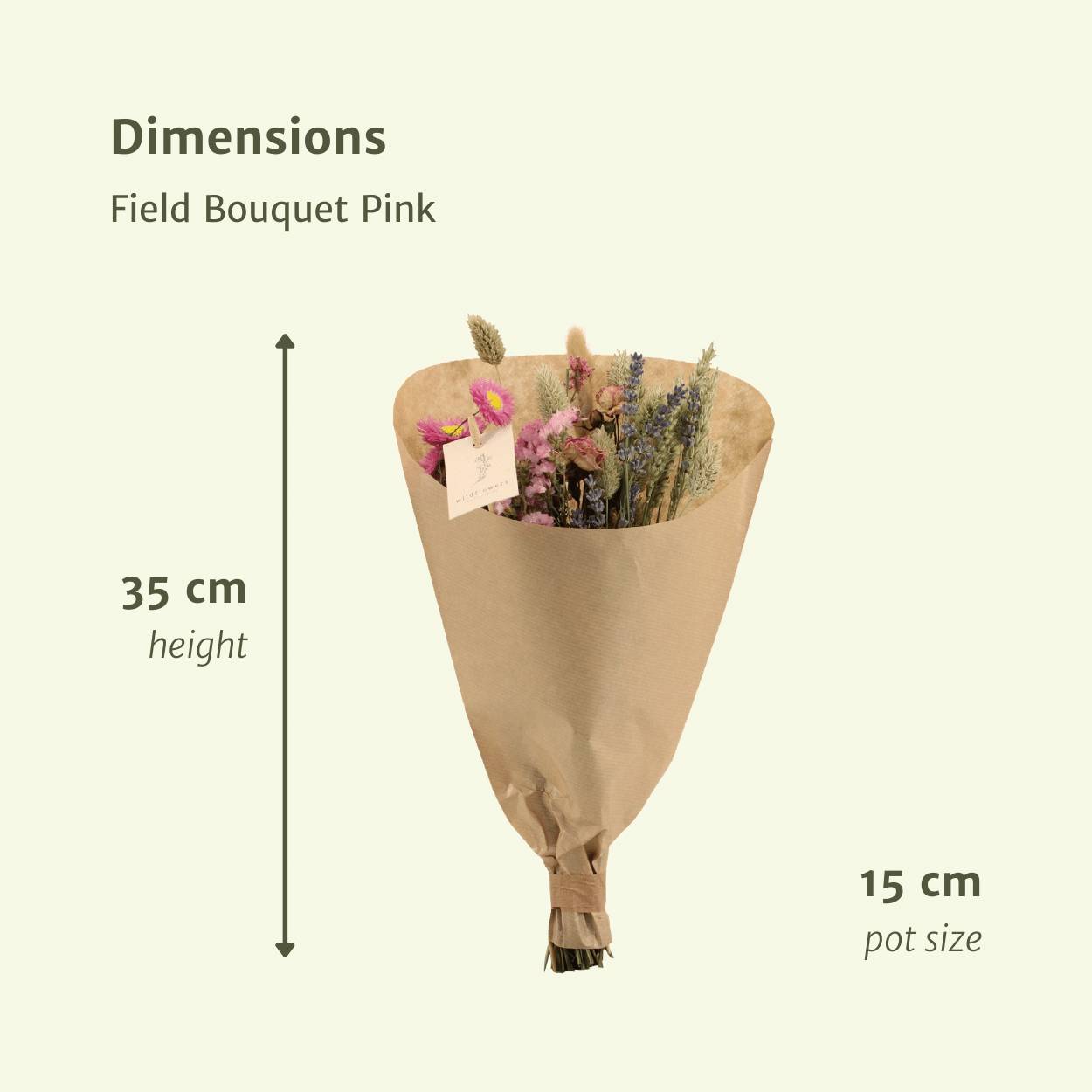PANGIVO - Bouquet de fleurs séchées rose 15 x 15 x 35 cm - PANGIVO - Image 1