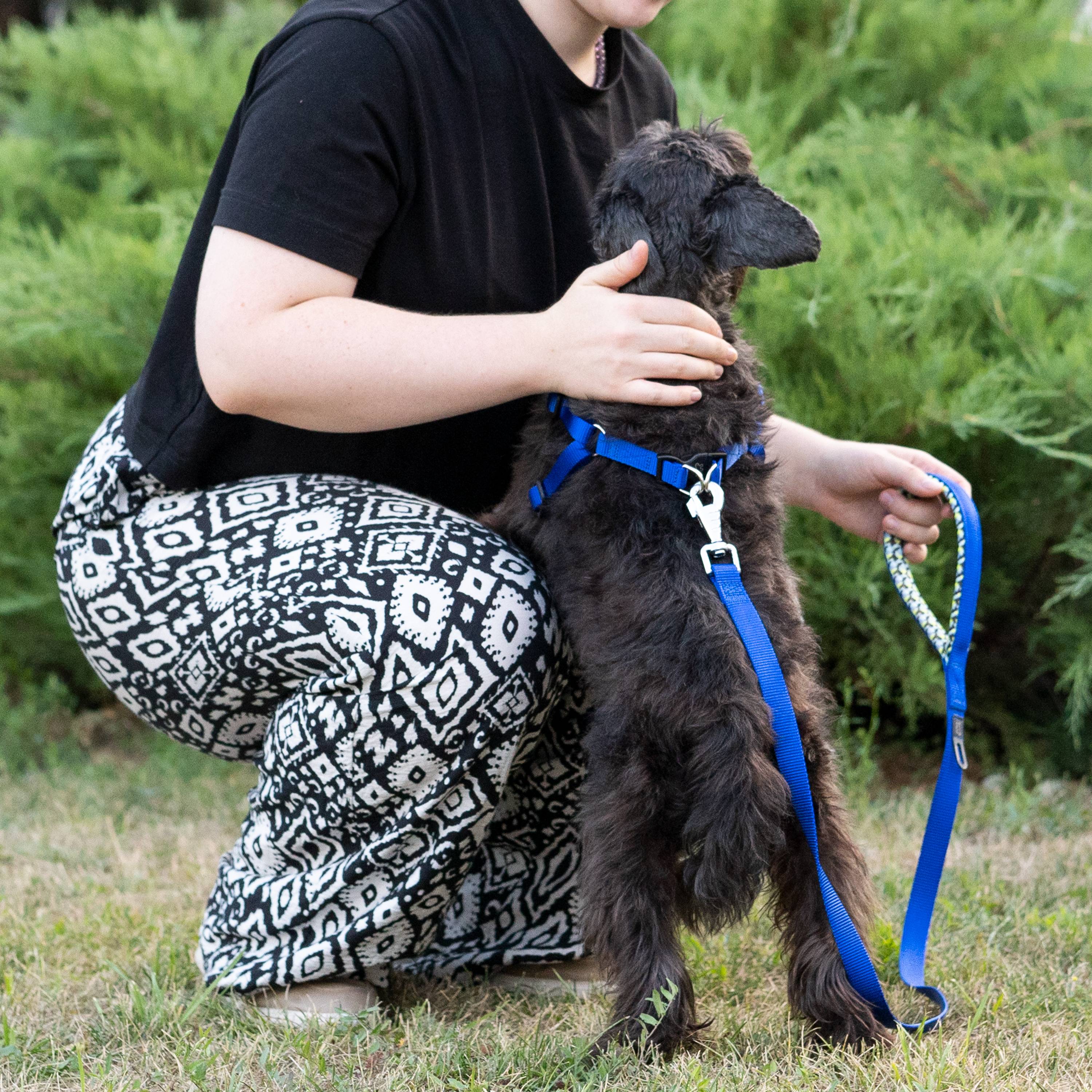 Ferplast - Ferplast laisse pour chien DAYTONA FANTASY, Laisse en nylon pour petit chien, 120 cm, avec poignée rembourrée confortable et mousqueton en métal. - Imagen 4