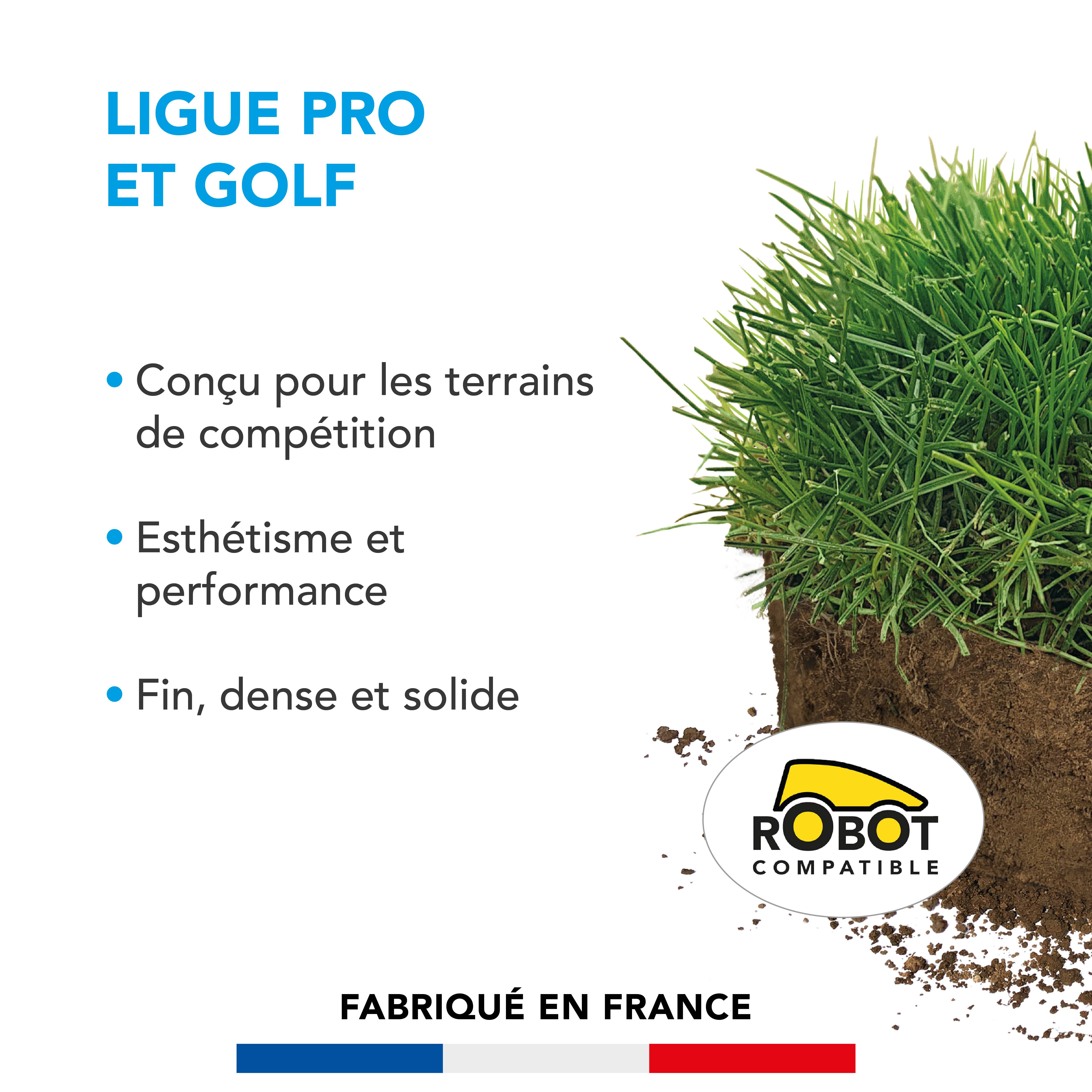 Gazon Ligue Pro et Golf - pour Terrains de Compétition - Esthétisme, Performance - Fin, Dense, Solide - 3KG - BARENBRUG - Image 2