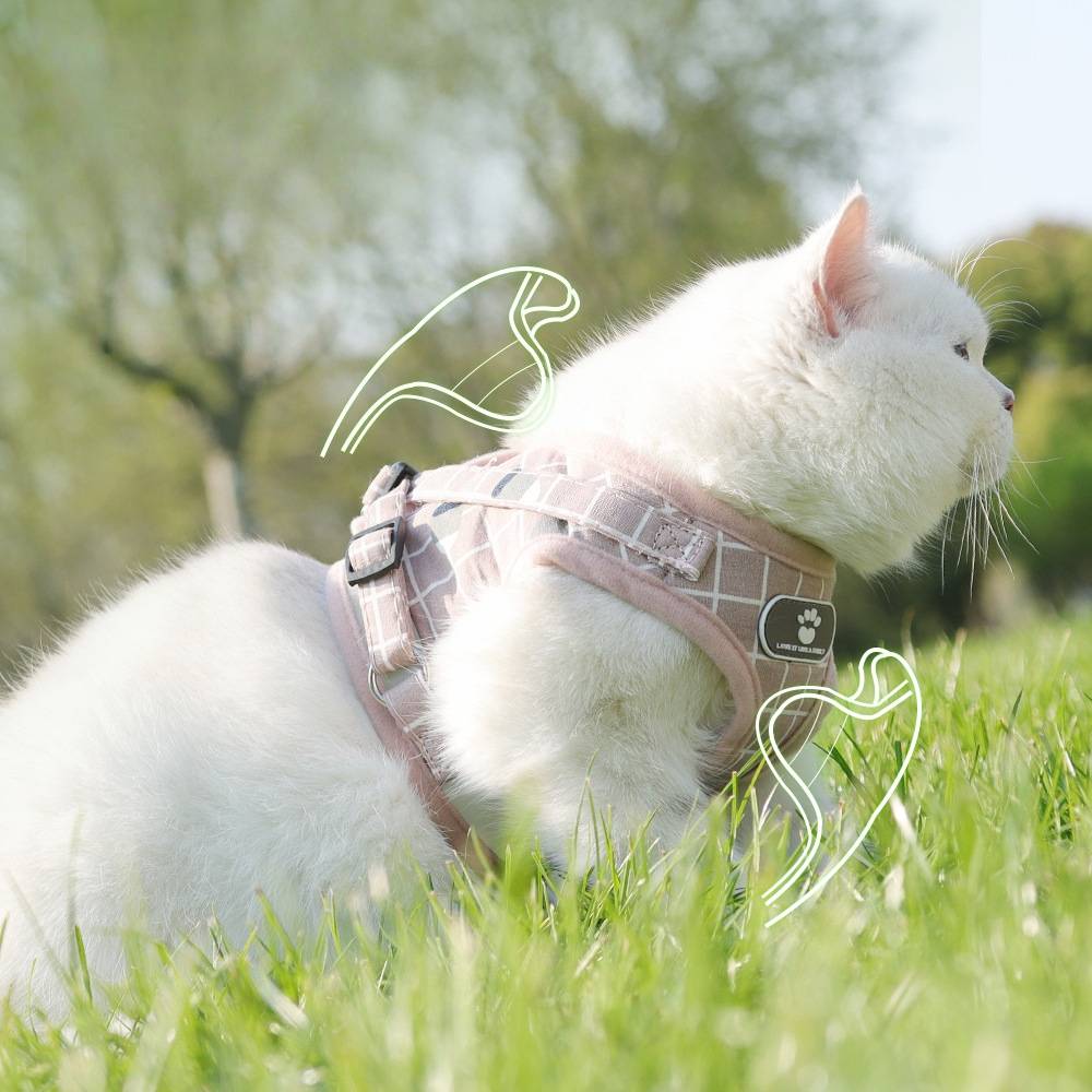 Harnais pour chat en maille souple l - IntiMeg - Image 2