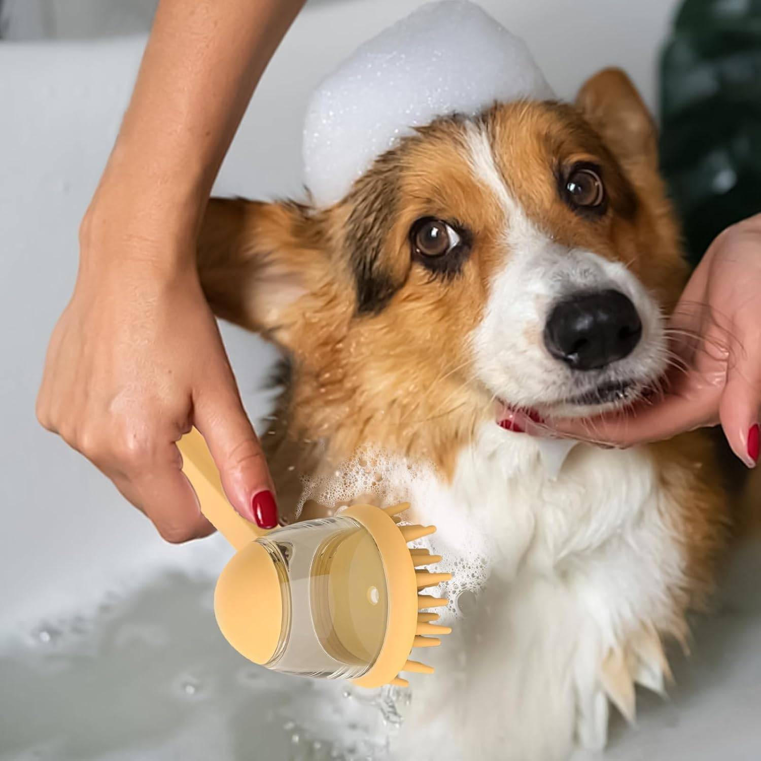 DtopbuyAge - Brosse de Bain pour Chien - Disperse Shampoing & Massage DtopbuyAge - Image 4