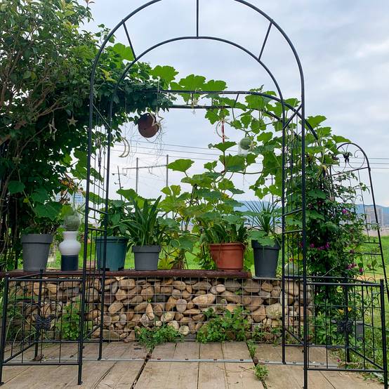 Arche jardin métal noir 202 x 50 x 218 cm - PANGIVO - Image 7