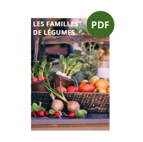 Livre "Le pouvoir des aromates en permaculture" - Image 3