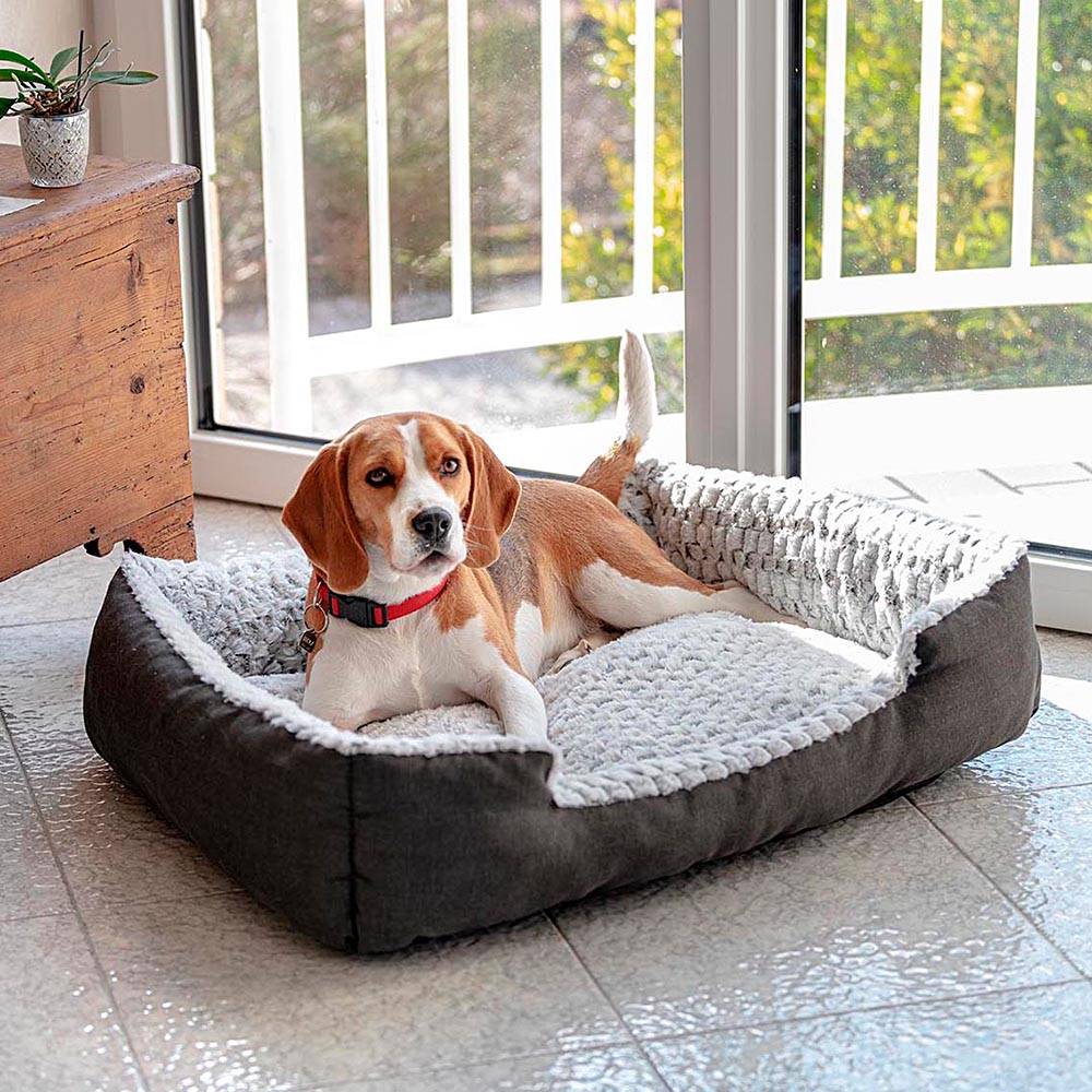Ferplast - Ferplast Panier Chien Coussin Chien Grande Taille Panier Chat Coussin Chat Doux et Confortable 55 x 48 x h 18 cm. Gris - Imagen 3