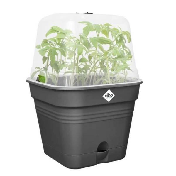 Elho - Elho Green Basics Maceta De Cultivo Cuadrada Allin1 30 - Negro - ø 30 X H 25 Cm - Cultivo Y Cosecha - 100% Reciclado - Imagen 4