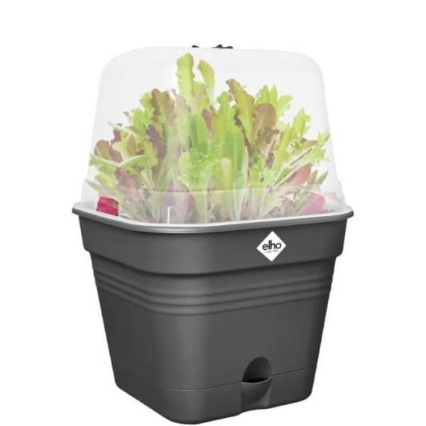 Elho - Elho Green Basics Maceta De Cultivo Cuadrada Allin1 30 - Negro - ø 30 X H 25 Cm - Cultivo Y Cosecha - 100% Reciclado - Imagen 5