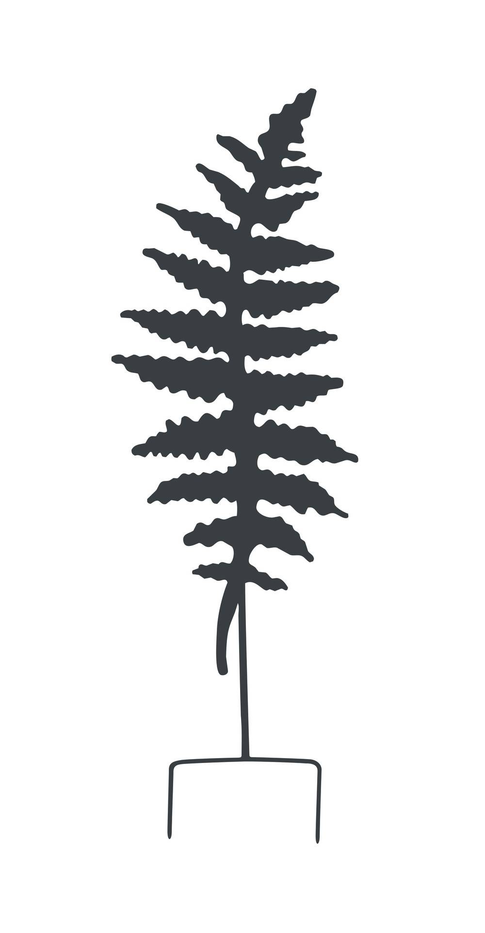 Louis Moulin - Déco en métal à planter Fougère - 25x70 cm - anthracite Louis Moulin - Image 1