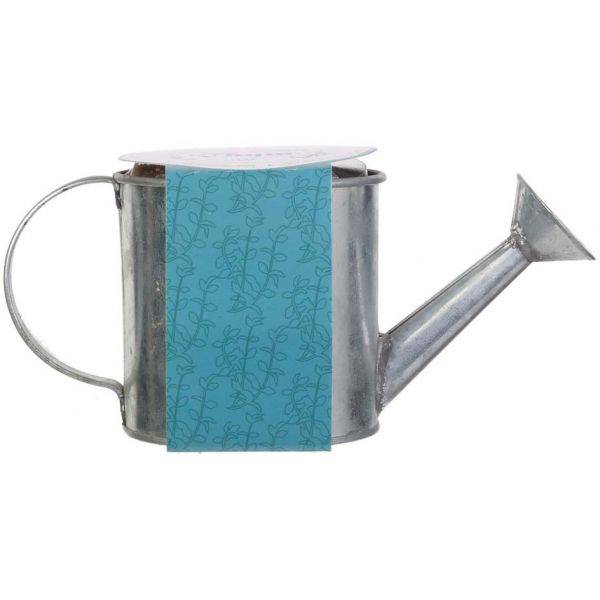 The Home Deco Factory - Graines à planter aromates avec arrosoirs (Lot de 2) The Home Deco Factory - Image 5