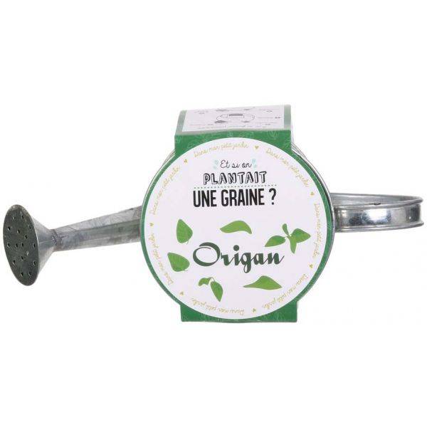 The Home Deco Factory - Graines à planter aromates avec arrosoirs (Lot de 2) The Home Deco Factory - Image 4