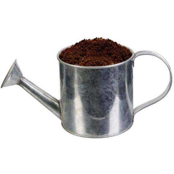 The Home Deco Factory - Graines à planter aromates avec arrosoirs (Lot de 2) The Home Deco Factory - Image 6