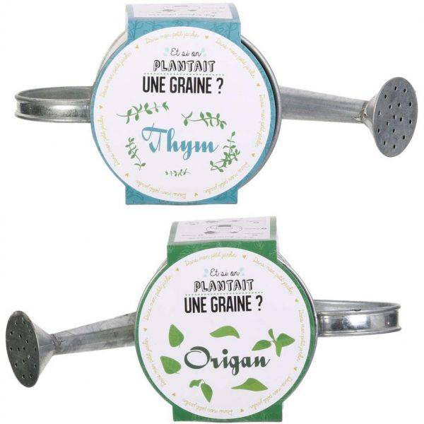 The Home Deco Factory - Graines à planter aromates avec arrosoirs (Lot de 2) The Home Deco Factory - Image 1